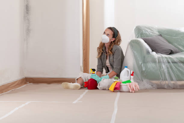 Reliable Mold Removal contractor in Hudson, MA by Car Mold Remediation